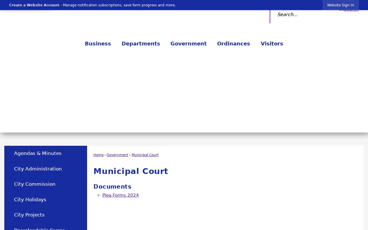 Mason record check at the City of Mason Municipal Court page